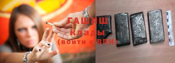 твердый Снежногорск